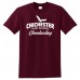 Chichester Cheerleading T-Shirt - YOUTH